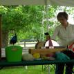Carol Densmore demonstrating the drum carder